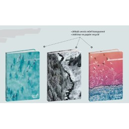 Agenda R 1C - Dauphin, Neige et Oiseaux RESPIRE 2025-2026 QUO-VADIS