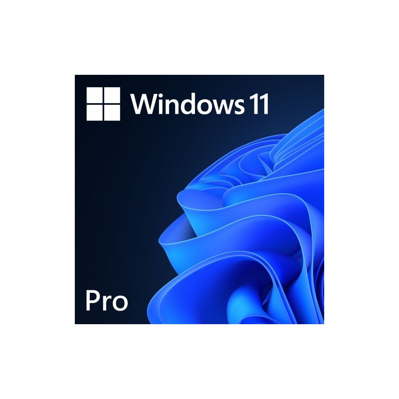 Windows 11 Professional 64-bit French 1pk DSP OEM DVD