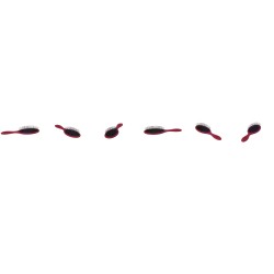 Brosse wet and dry 0470 FP