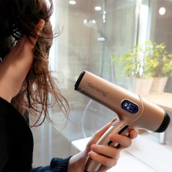 Sèche cheveux professionnel Demeliss20007