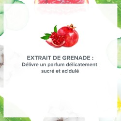 Déodorant Spray grenade acidulée 24H 200ml EVOLUDERM