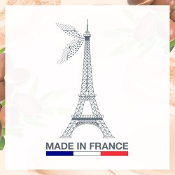 Masque cheveux argan divin 500ml EVOLUDERM