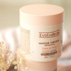 Masque cheveux délice karité 500ml EVOLUDERM