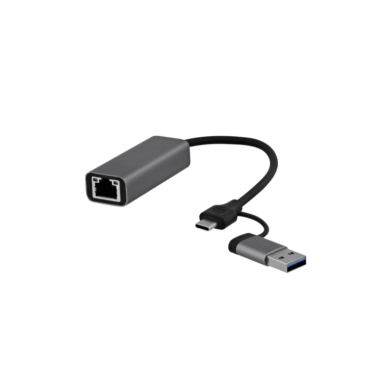 Adaptateur USB Type C vers RJ45 - argent