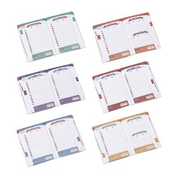 Agenda scolaire RAINBOW CLASS septembre 2024 à Juillet 2025 VIQUEL