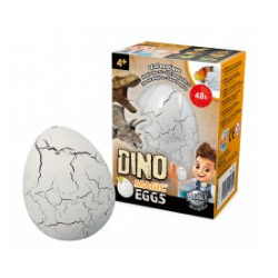 Œufs de dinosaures à mettre dans l'eau ou œufs en plâtre