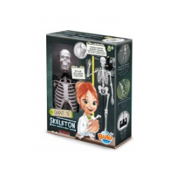 Squelette 45 cm