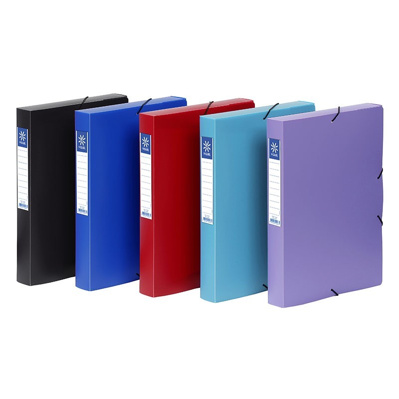 Boîte de classement polypro dos 40 Viquel