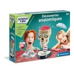 Découvertes anatomiques