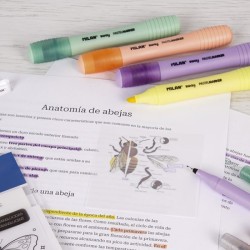 Surligneur poch de 4 SWAY Pastel MILAN