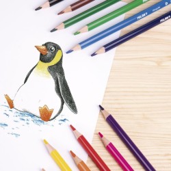 Crayon de couleur 18cm et 18cl triangulaires 231 Milan